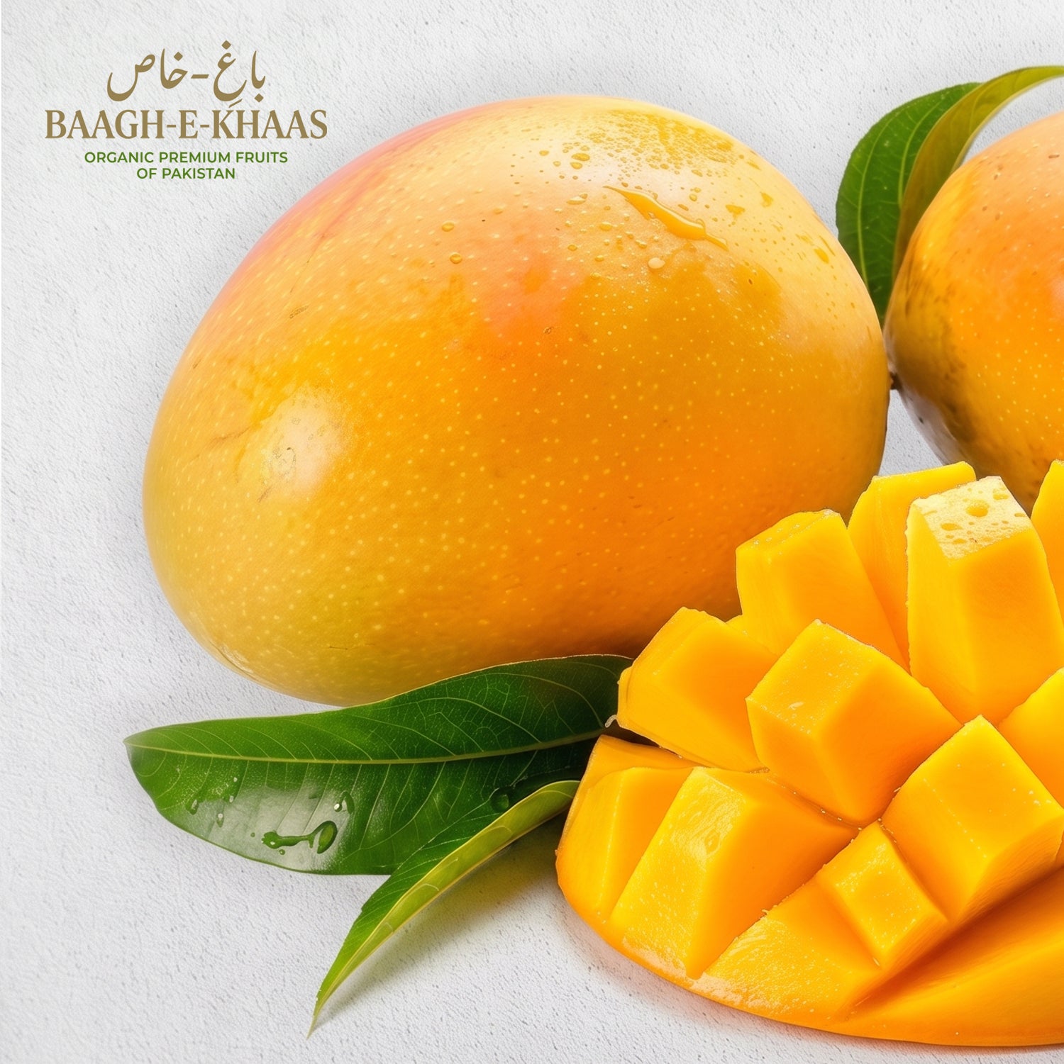 Anwar Ratol Mango - Mid-Season (June to July)