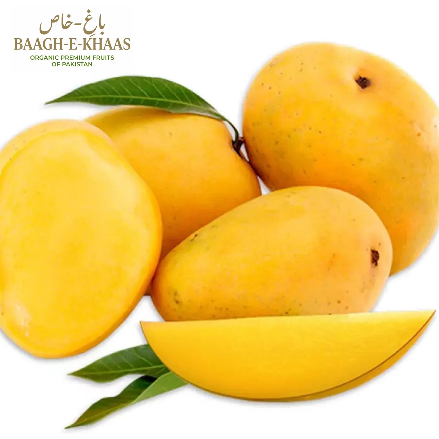 Anwar Ratol Mango - Mid-Season (June to July)