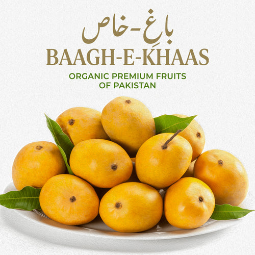 Anwar Ratol Mango - Mid-Season (June to July)