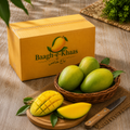 Fajri Mango - Mid-Season (June to July)(Pre-book Your Order)