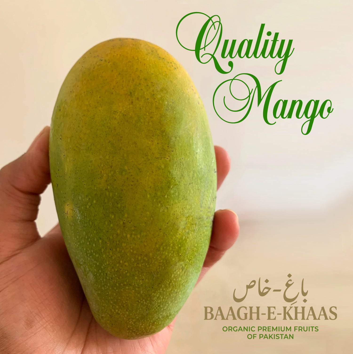 Dasheri Mango - Early Season (May to June)