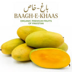 Dasheri Mango - Early Season (May to June)