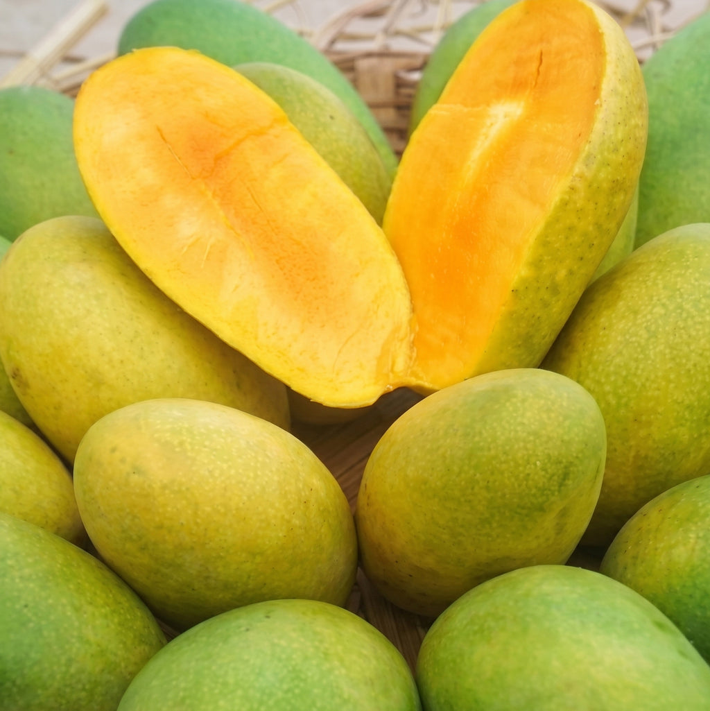 Dasheri Mango - Early Season (May to June)
