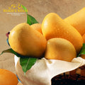 Sindhri Mango - Early Season (May to June)