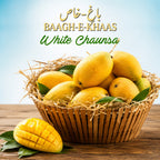 White Chaunsa Mango - Late Season (July to Aug/Sep)