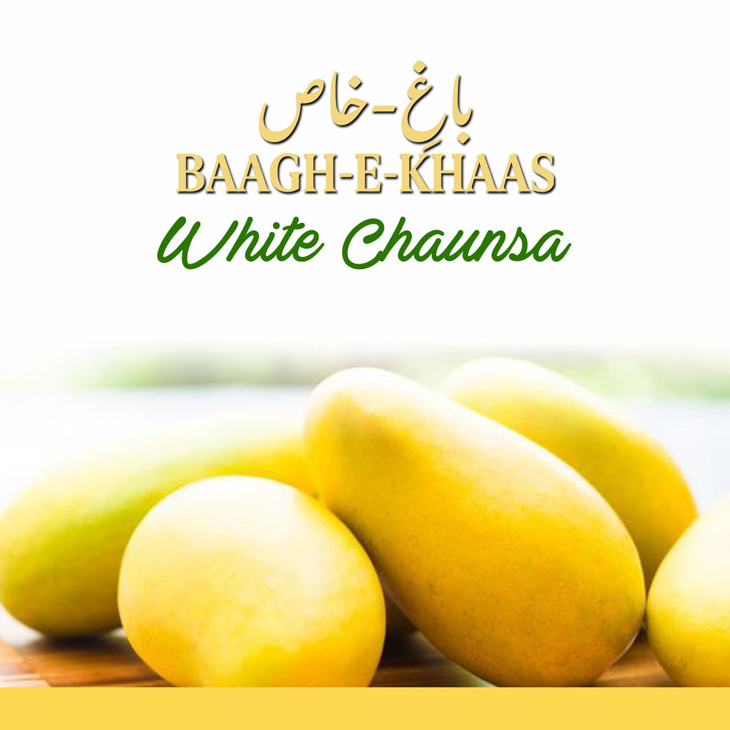 White Chaunsa Mango - Late Season (July to Aug/Sep)