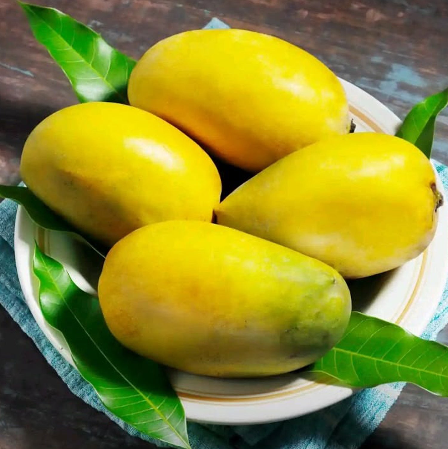 White Chaunsa Mango - Late Season (July to Aug/Sep)
